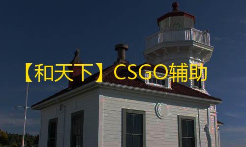 【和天下】CSGO辅助