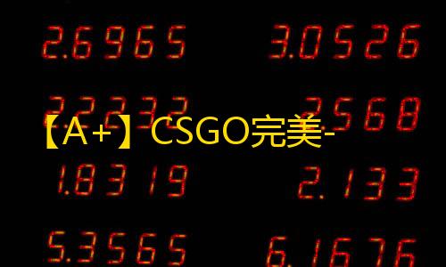 【A+】CSGO完美-辅助